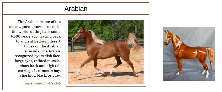 sorrel Arabian